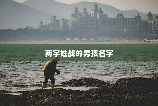 两字姓战的男孩名字
