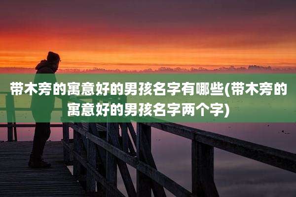 带木旁的寓意好的男孩名字有哪些(带木旁的寓意好的男孩名字两个字)