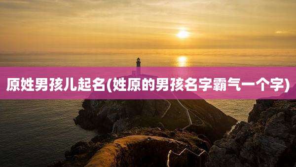 原姓男孩儿起名(姓原的男孩名字霸气一个字)