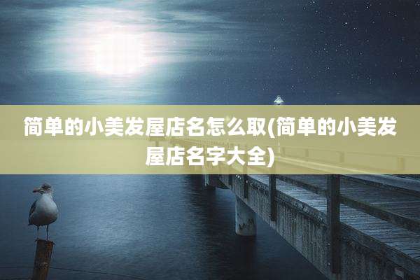 简单的小美发屋店名怎么取(简单的小美发屋店名字大全)