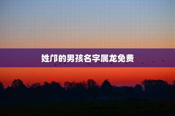 姓邝的男孩名字属龙免费