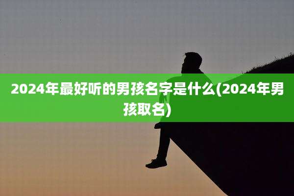 2024年最好听的男孩名字是什么(2024年男孩取名)