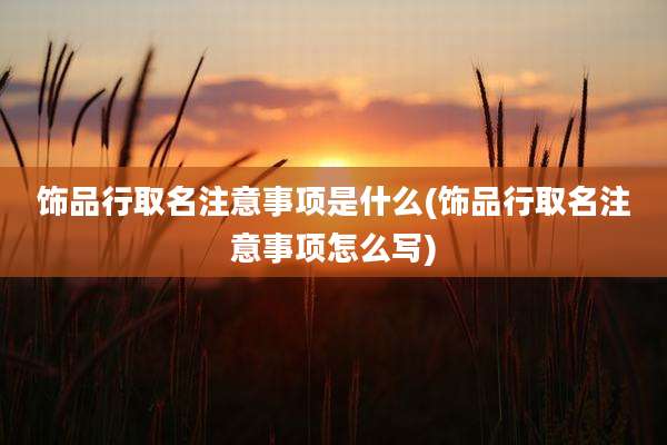 饰品行取名注意事项是什么(饰品行取名注意事项怎么写)