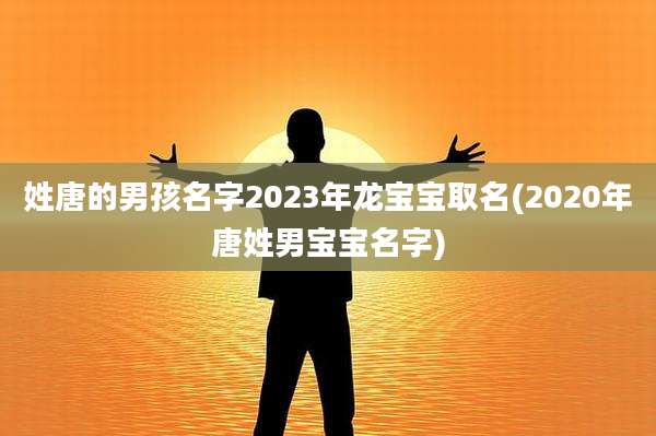姓唐的男孩名字2023年龙宝宝取名(2020年唐姓男宝宝名字)