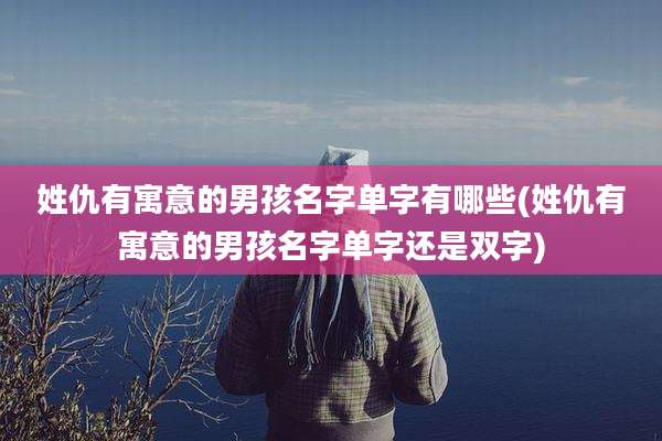 姓仇有寓意的男孩名字单字有哪些(姓仇有寓意的男孩名字单字还是双字)