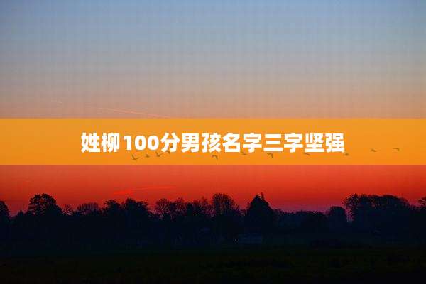 姓柳100分男孩名字三字坚强