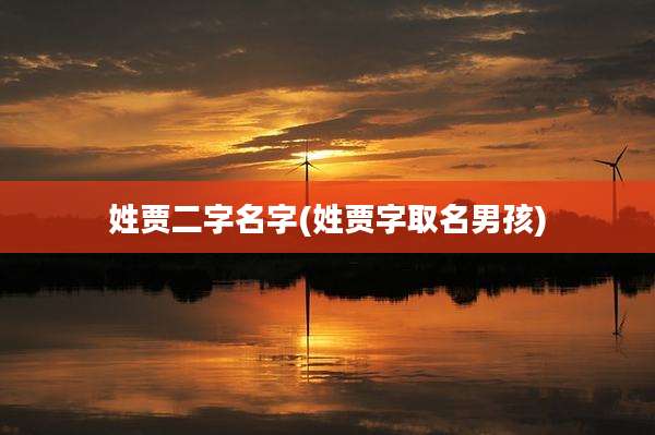 姓贾二字名字(姓贾字取名男孩)