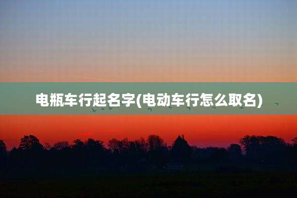 电瓶车行起名字(电动车行怎么取名)