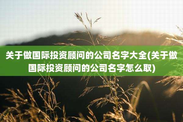 关于做国际投资顾问的公司名字大全(关于做国际投资顾问的公司名字怎么取)