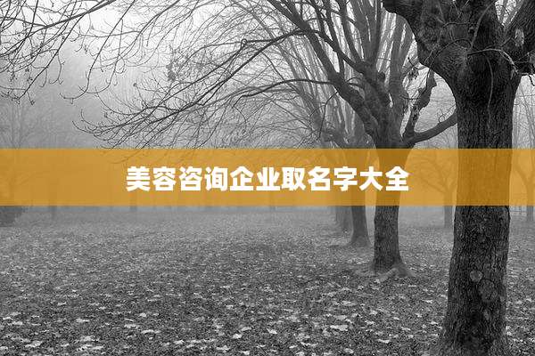 美容咨询企业取名字大全