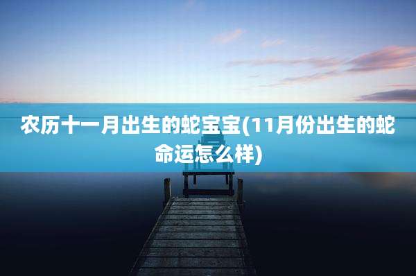农历十一月出生的蛇宝宝(11月份出生的蛇命运怎么样)