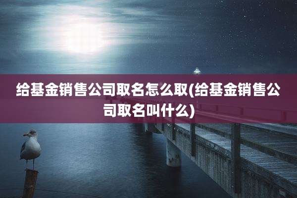 给基金销售公司取名怎么取(给基金销售公司取名叫什么)