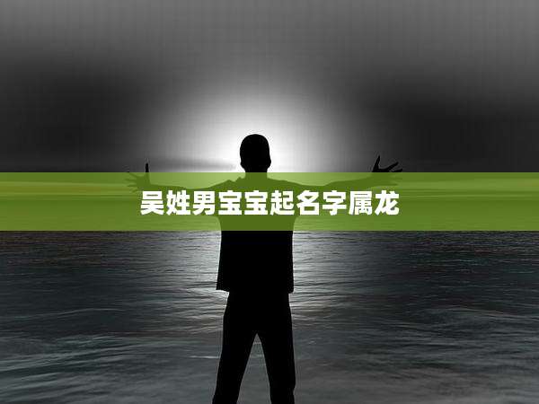 吴姓男宝宝起名字属龙