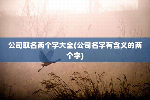 公司取名两个字大全(公司名字有含义的两个字)