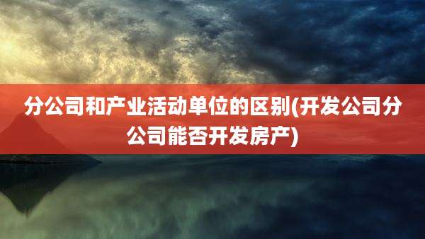分公司和产业活动单位的区别(开发公司分公司能否开发房产)
