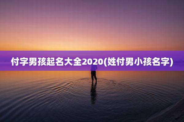 付字男孩起名大全2020(姓付男小孩名字)