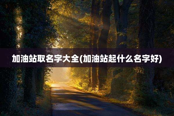 加油站取名字大全(加油站起什么名字好)