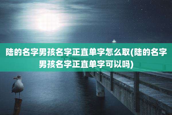 陆的名字男孩名字正直单字怎么取(陆的名字男孩名字正直单字可以吗)