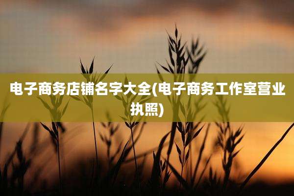 电子商务店铺名字大全(电子商务工作室营业执照)