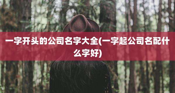 一字开头的公司名字大全(一字起公司名配什么字好)