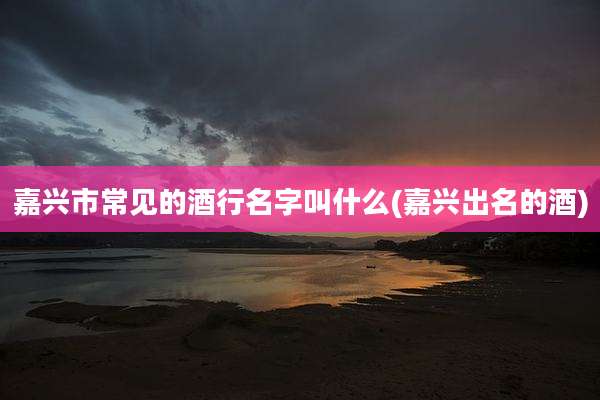 嘉兴市常见的酒行名字叫什么(嘉兴出名的酒)