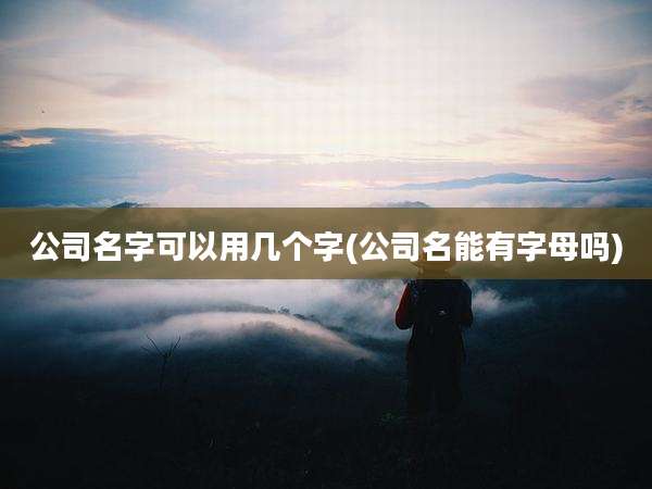 公司名字可以用几个字(公司名能有字母吗)