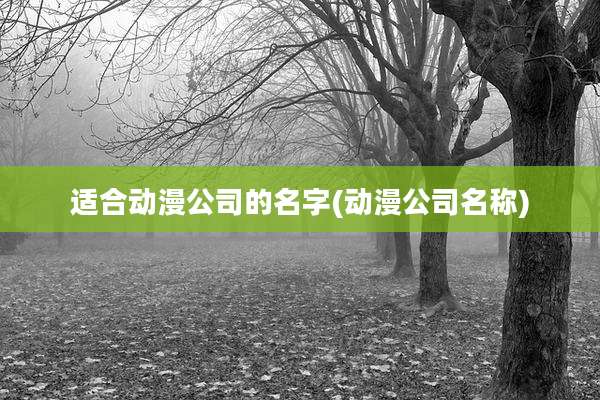 适合动漫公司的名字(动漫公司名称)