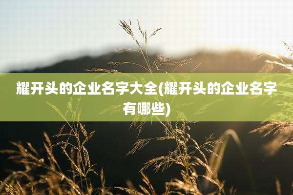 耀开头的企业名字大全(耀开头的企业名字有哪些)