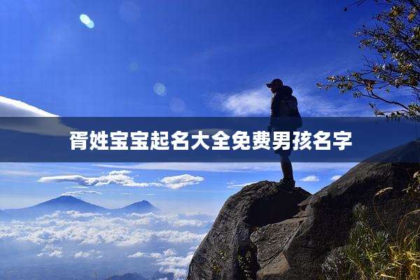 胥姓宝宝起名大全免费男孩名字