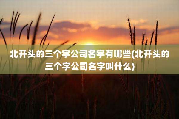 北开头的三个字公司名字有哪些(北开头的三个字公司名字叫什么)