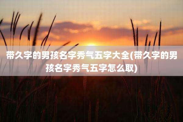 带久字的男孩名字秀气五字大全(带久字的男孩名字秀气五字怎么取)