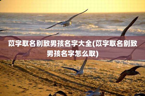 苡字取名别致男孩名字大全(苡字取名别致男孩名字怎么取)