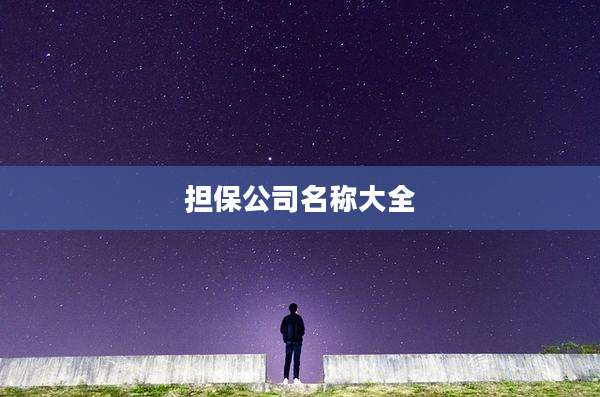 担保公司名称大全
