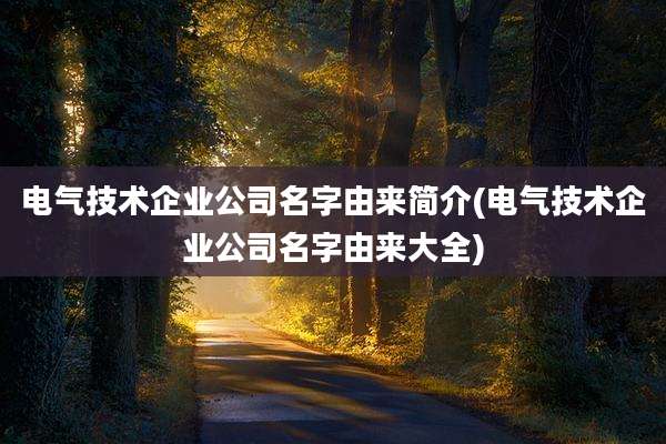 电气技术企业公司名字由来简介(电气技术企业公司名字由来大全)