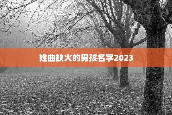 姓曲缺火的男孩名字2023