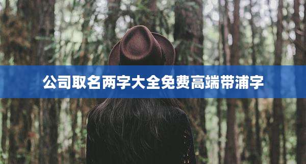 公司取名两字大全免费高端带浦字