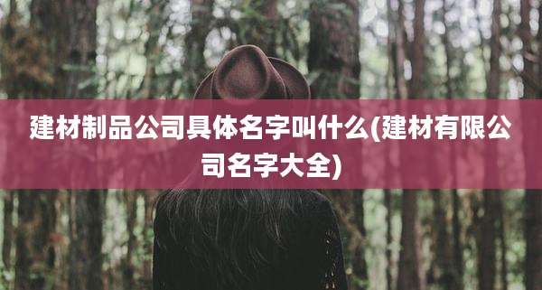 建材制品公司具体名字叫什么(建材有限公司名字大全)