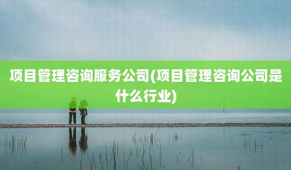 项目管理咨询服务公司(项目管理咨询公司是什么行业)