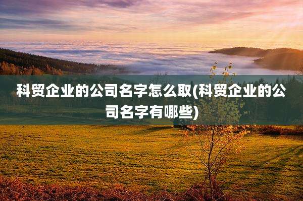 科贸企业的公司名字怎么取(科贸企业的公司名字有哪些)