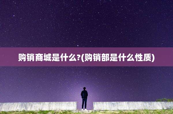 购销商城是什么?(购销部是什么性质)