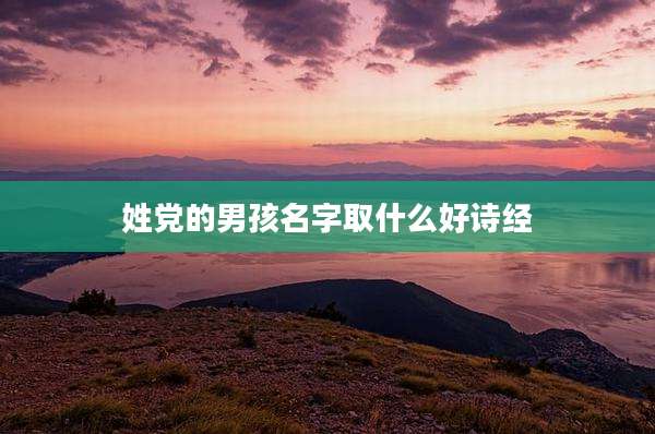 姓党的男孩名字取什么好诗经