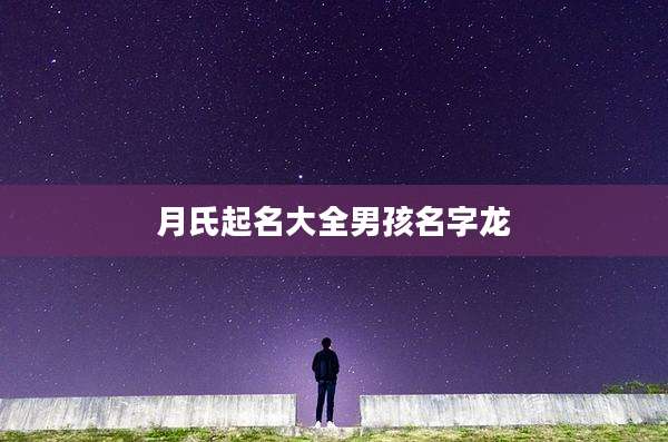 月氏起名大全男孩名字龙