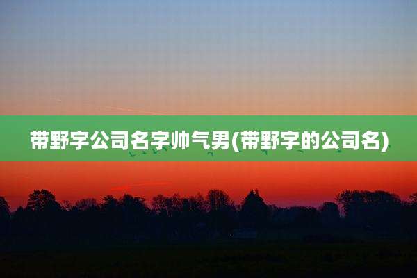 带野字公司名字帅气男(带野字的公司名)