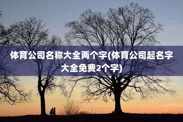 体育公司名称大全两个字(体育公司起名字大全免费2个字)