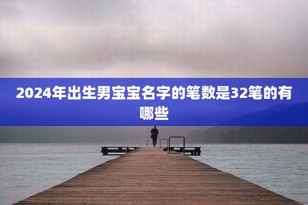 2024年出生男宝宝名字的笔数是32笔的有哪些