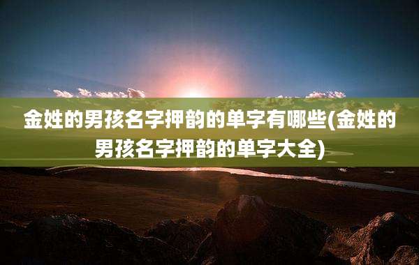 金姓的男孩名字押韵的单字有哪些(金姓的男孩名字押韵的单字大全)