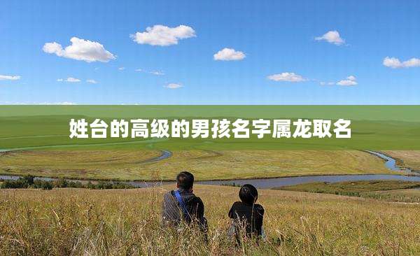 姓台的高级的男孩名字属龙取名