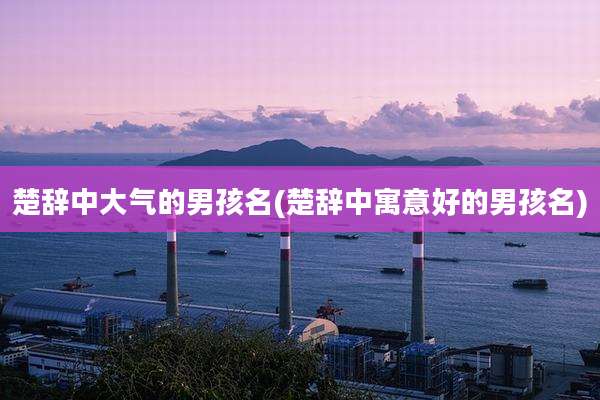 楚辞中大气的男孩名(楚辞中寓意好的男孩名)