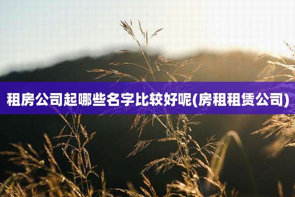 租房公司起哪些名字比较好呢(房租租赁公司)