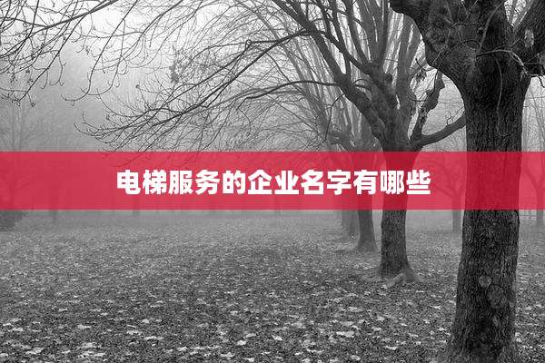 电梯服务的企业名字有哪些